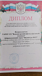 Диплом Волонтеры ВМТ